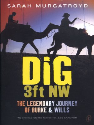 cover image of Dig 3ft NW